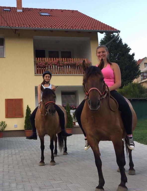 Lótuszvirág Vendégház Szekszárd Exterior foto