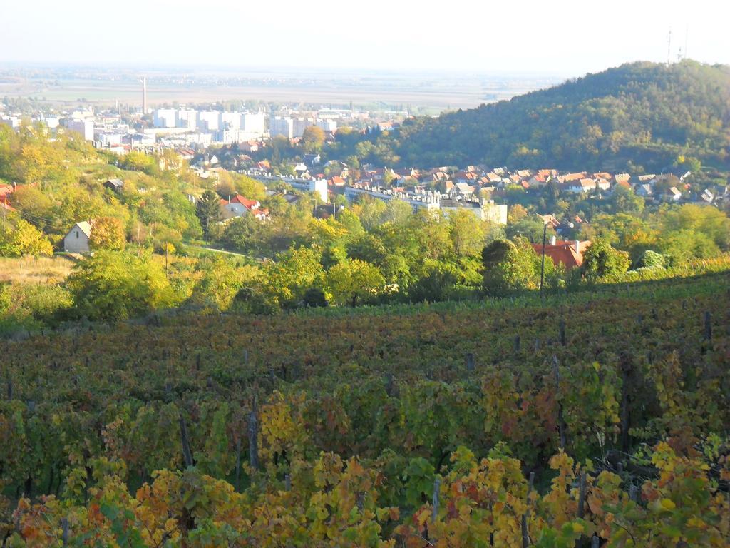 Lótuszvirág Vendégház Szekszárd Exterior foto